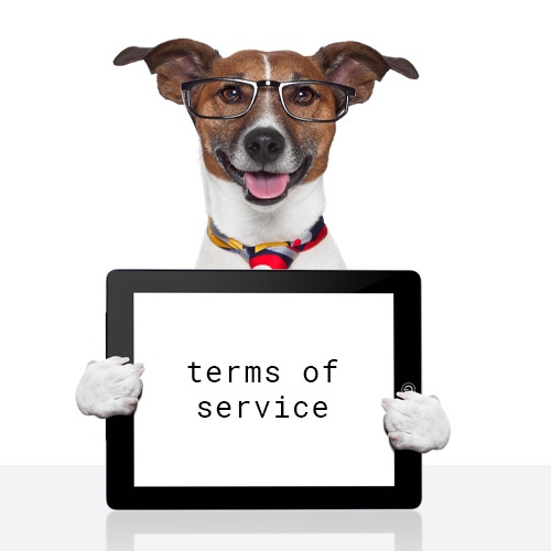Terms of Service
